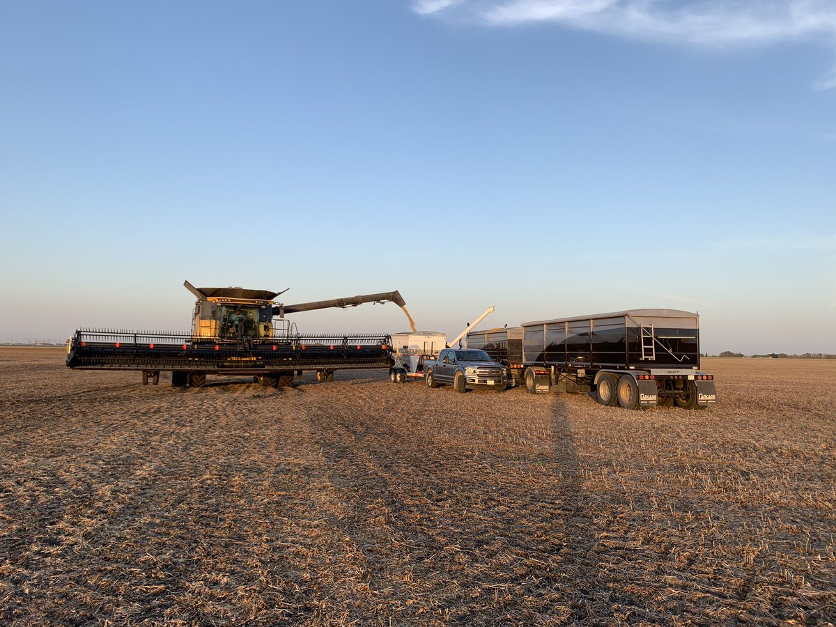 Doug Wahl tweet media