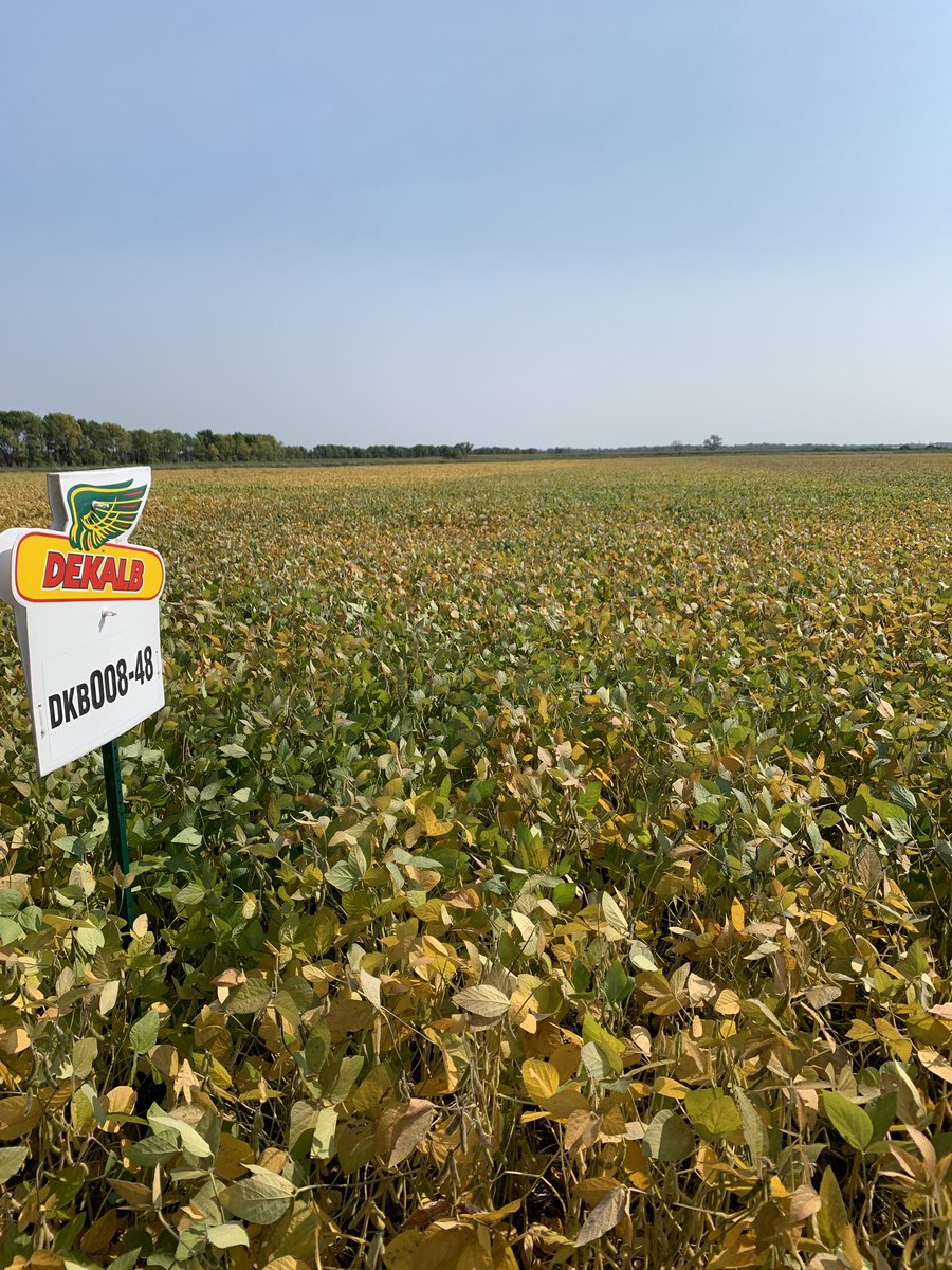 Doug Wahl tweet media