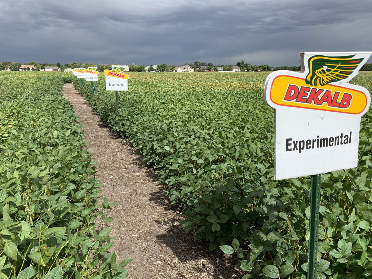 Doug Wahl tweet media