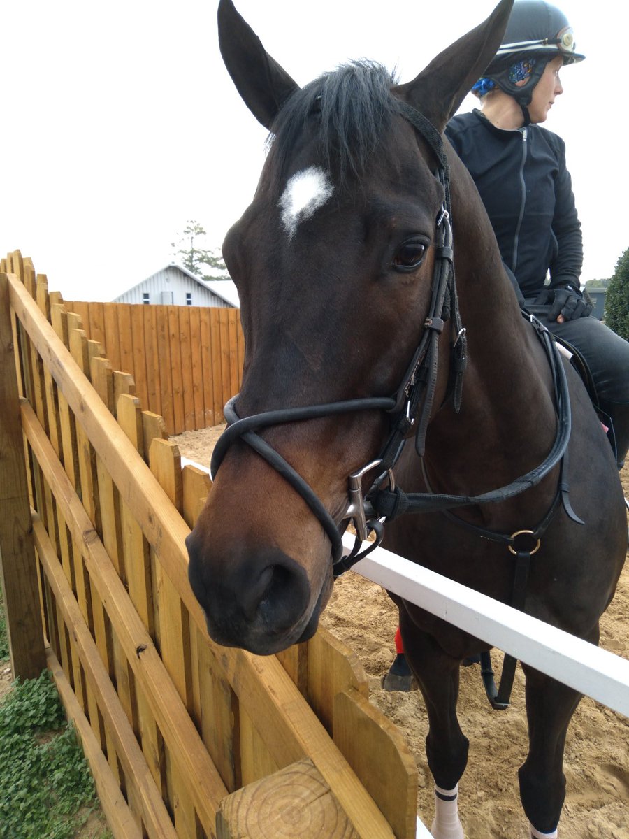 jone_loyd's tweet image. #SevenNationArmy #peppermintfiend #horseracing