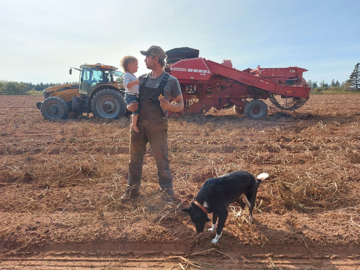 #peipotatoes grown sustainable &amp; handled with care. Grown on family farms. There is absolutely no reason these quality potatoes should not be able to be enjoyed by people all across north America #politics #peiag #potato