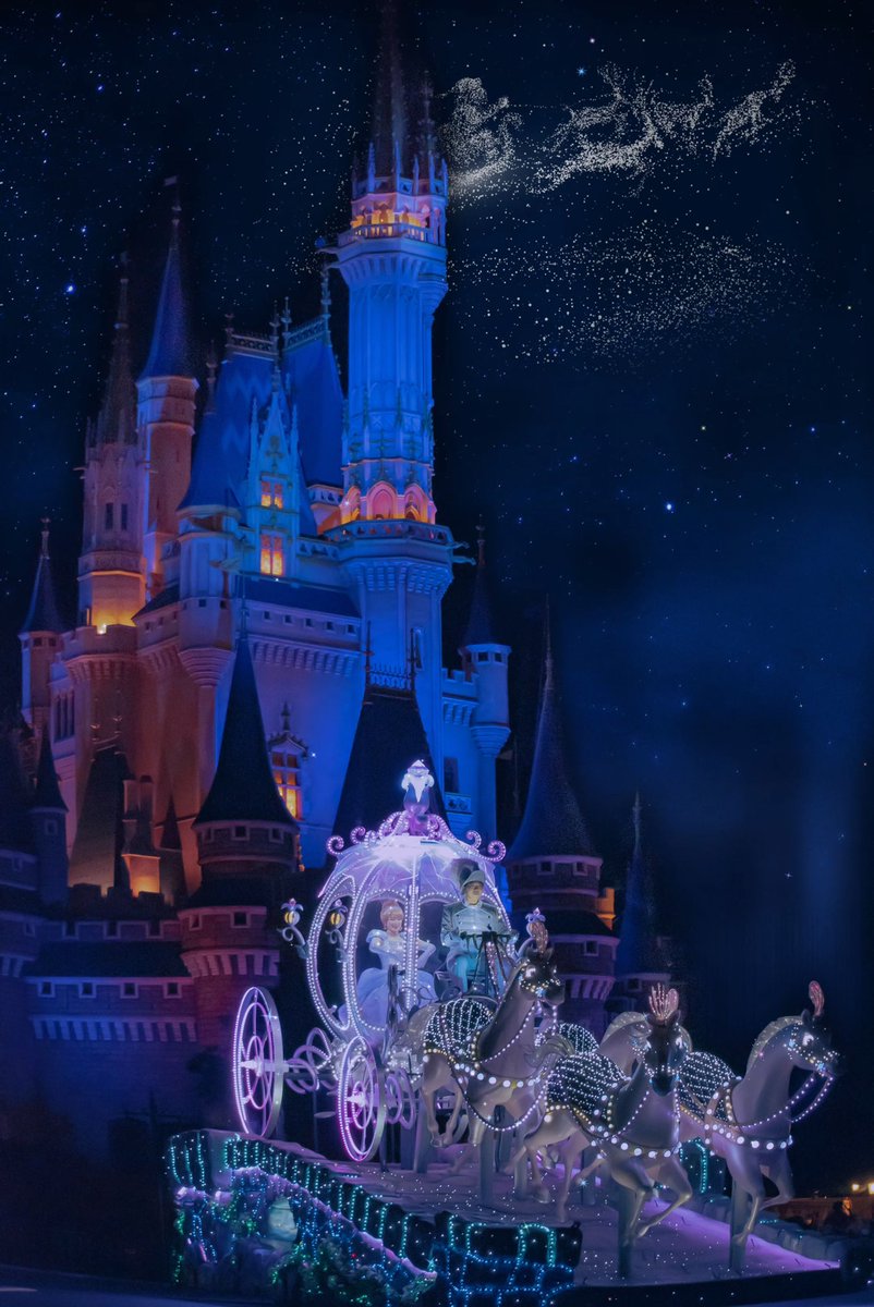 いい写真でしょー✌️