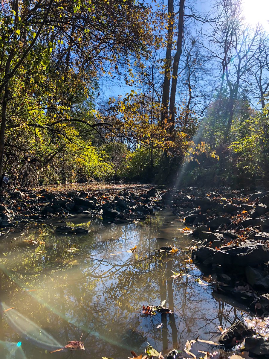 smkanderson's tweet photo. Even afternoon sampling in #urbanstreams of South #EllerbeCreek in #Durham slammed w/ #illicitdischarge (like sediment from development) can soothe the soul. Report what you see to local municipalities like @DurhamStormH2O #communityscience https://t.co/ZTlJCUJE8G https://t.co/I36vnVkWAP