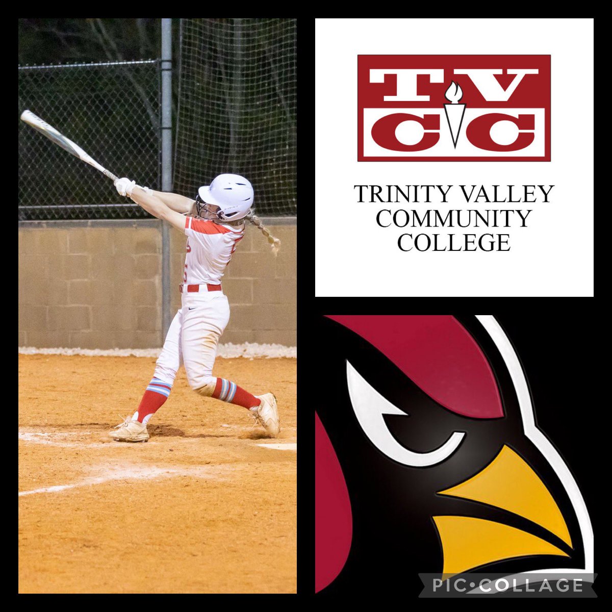 🚨CONGRATS HALLE POST ON COMMITTING WITH TVCC!🎉
Signing ceremony details TBD! #raiderproud <a href="/hallepost/">Halle Post</a> <a href="/KaylaGallardo7/">Kayla Gallardo</a> <a href="/CoachJamesReyes/">Coach James Reyes</a> <a href="/AshlyElamSports/">Ashly Elam</a> <a href="/SilsbeeBee/">.</a> <a href="/mcan409/">Mike Canizales</a> @MikeKFDM <a href="/Beaumont_Sports/">BmtEnterprise Sports</a>