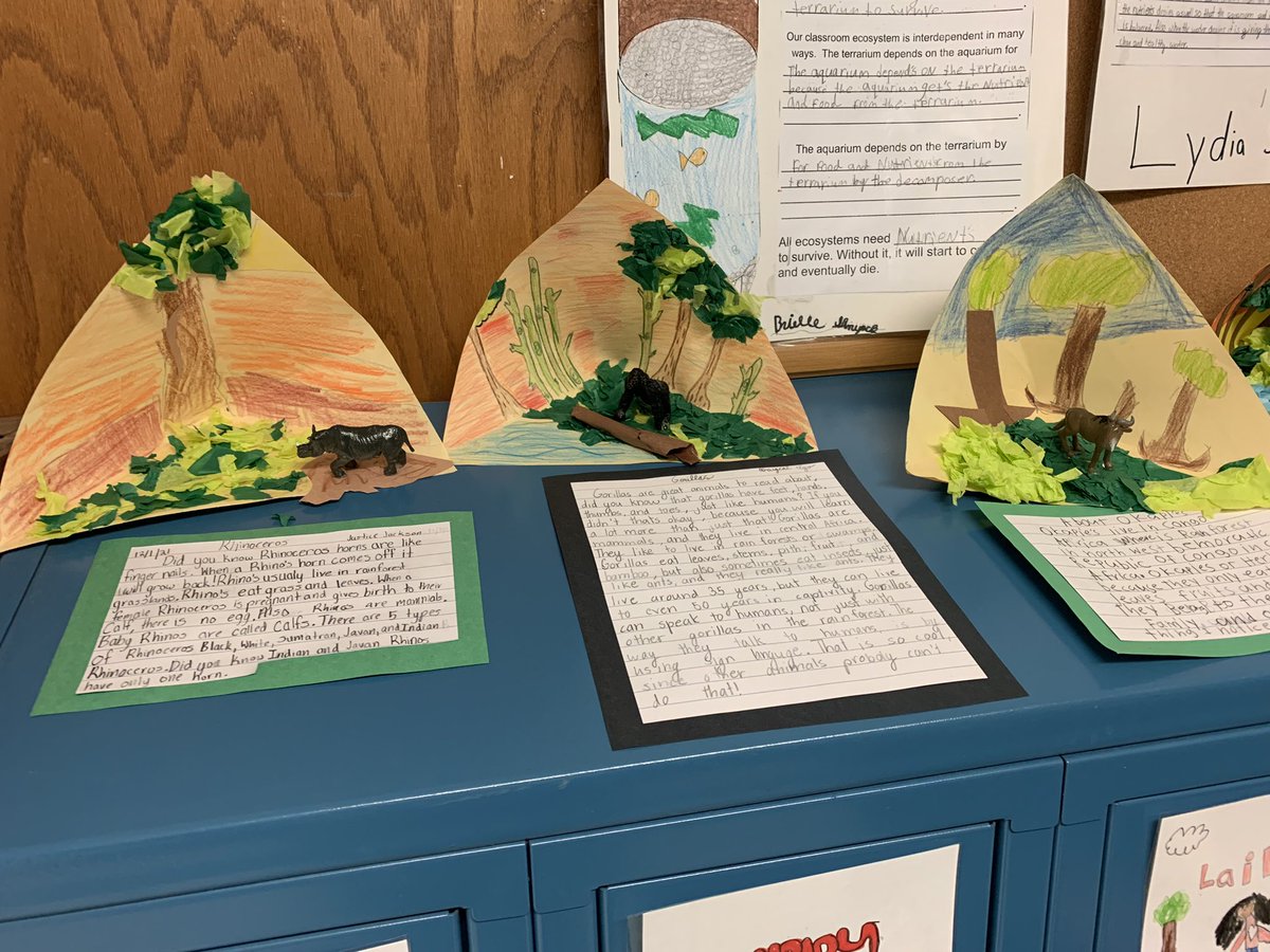 Displaying our rainforest animals as we wrap up unit 1…Depending on Each Other. 📚 🐅🐒🐆🦒🐘🍃<a href="/MegClendaniel/">Meg Clendaniel</a>