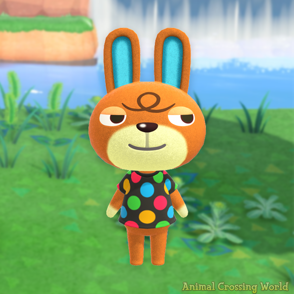 ACWorldBlog's tweet photo. Happy Birthday to Claude! 🎉 🐰 #ACNH https://t.co/0LURiOw8ne