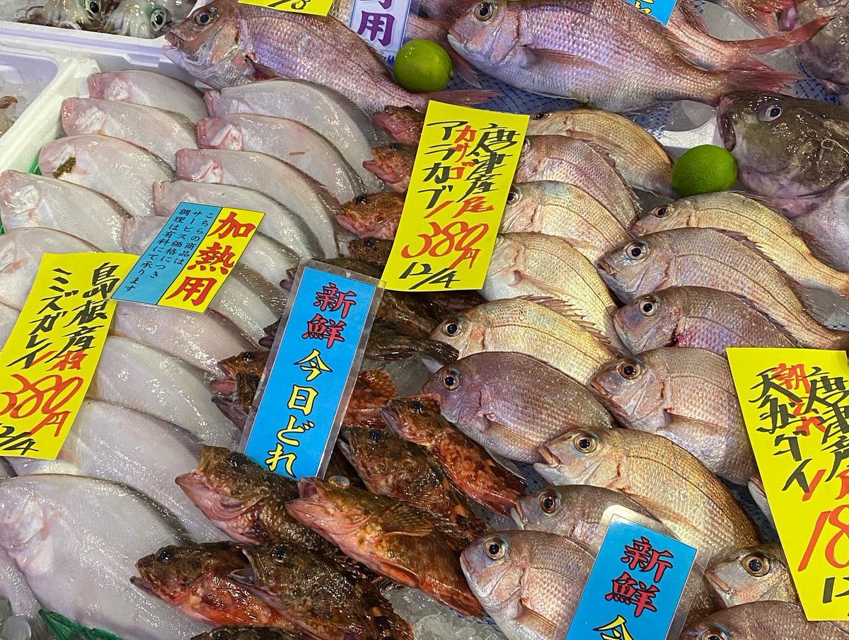 生タラ Twitter Search Twitter