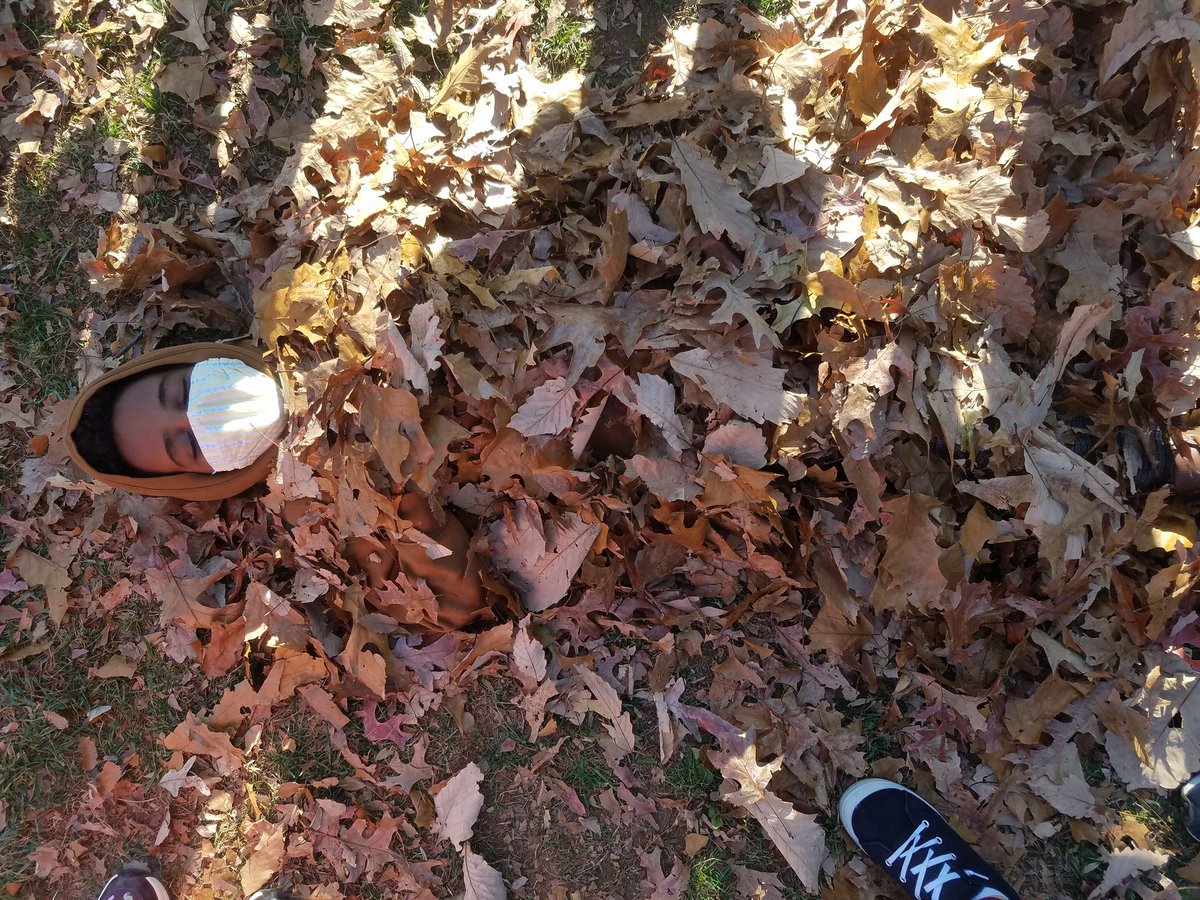 Mrs. Moore tweet media