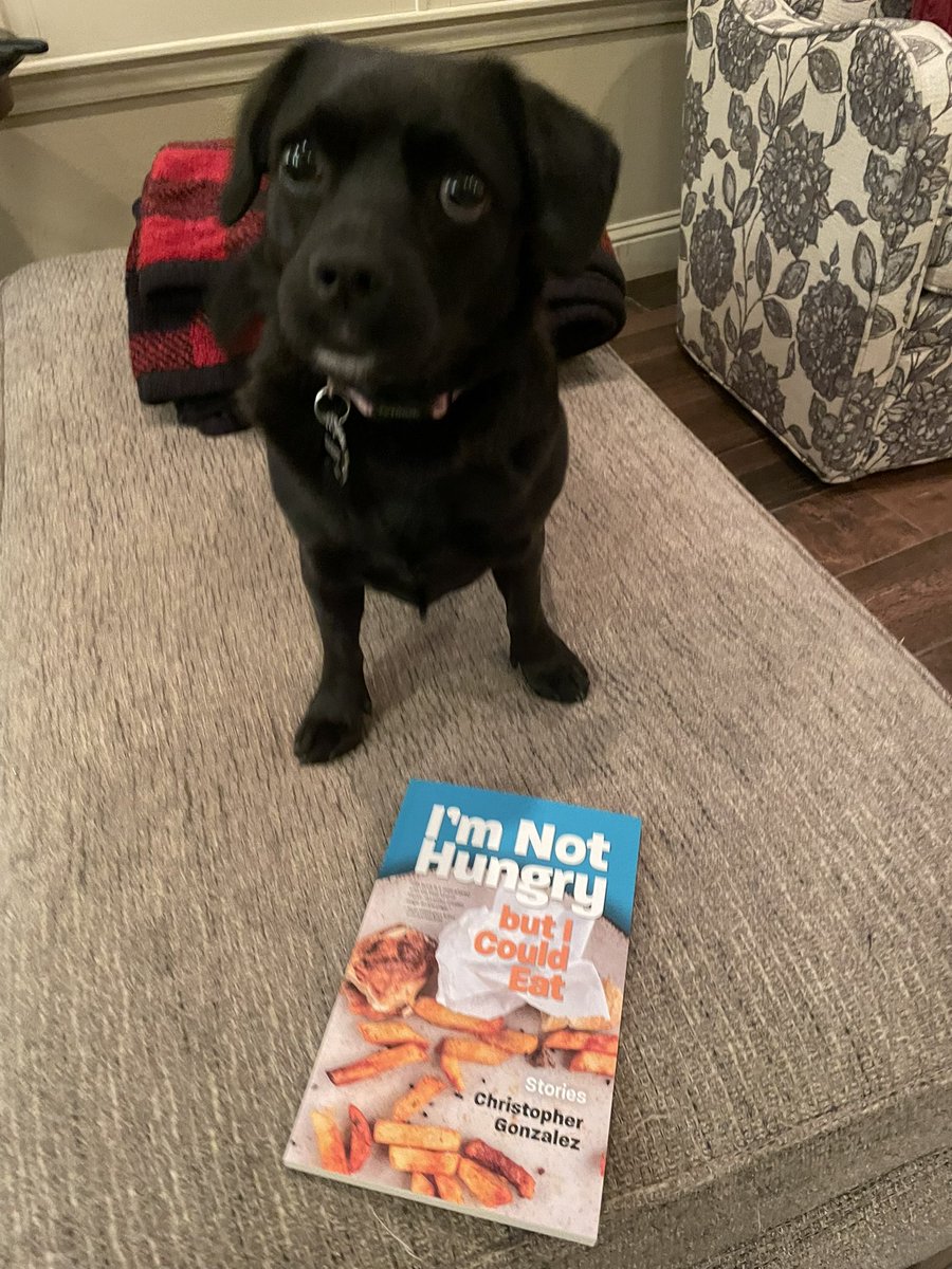 caitlyn_rush's tweet photo. @livesinpages is one of the coolest people I get to work with, and everyone should buy his book! Endorsed by Darcy (blurrily bc she of course tried to eat it) https://t.co/Bsj5P0HZ8J