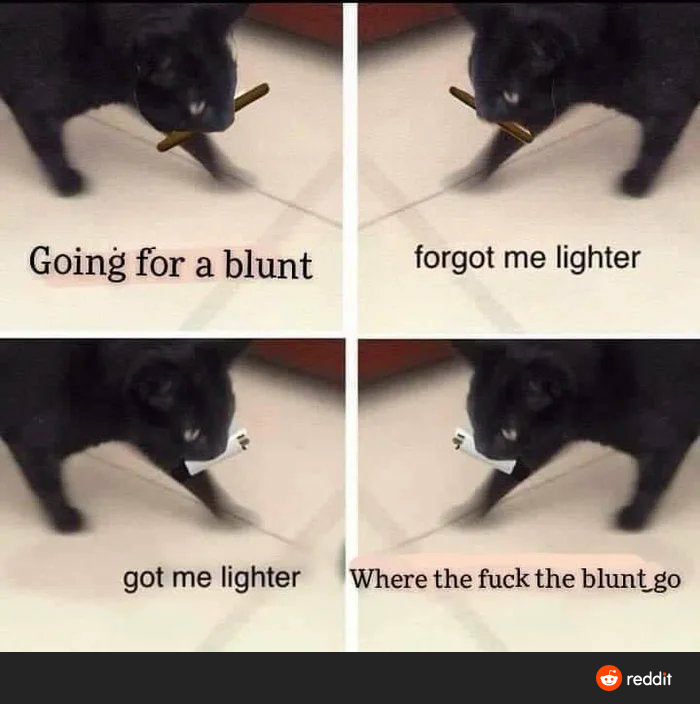 WeedCollege tweet picture
