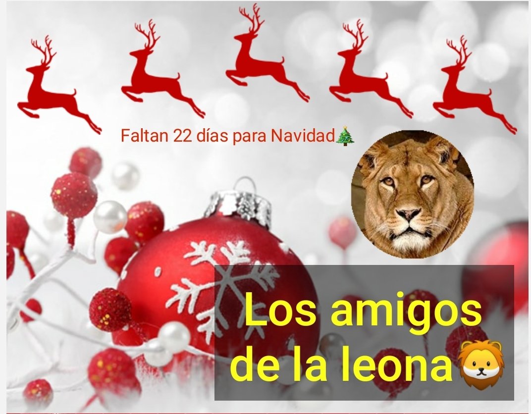🎅Da RT y Fav
🎄Sigue a todos los que den RT🔄 y Fav♥️ a éste tweet⛄
╦═╗
║╣OllOW🎅🎄⛄❄️🦌
╩ 
#LosAmigosDeLaLeona 🦁
@luisalarosa
<a href="/milushkadiaz/">Milushka💞💐✨</a>
<a href="/MartaAvendao/">Marta Avendaño 🍃🌸</a>
<a href="/Astrid_Marche/">Astrid Marché</a>
<a href="/Paulina_Markt/">paulina.markt.mx</a>
<a href="/2006_patty/">Patty  🇲🇽</a>
<a href="/candelafuego2/">candela fuego</a>
@learockerita