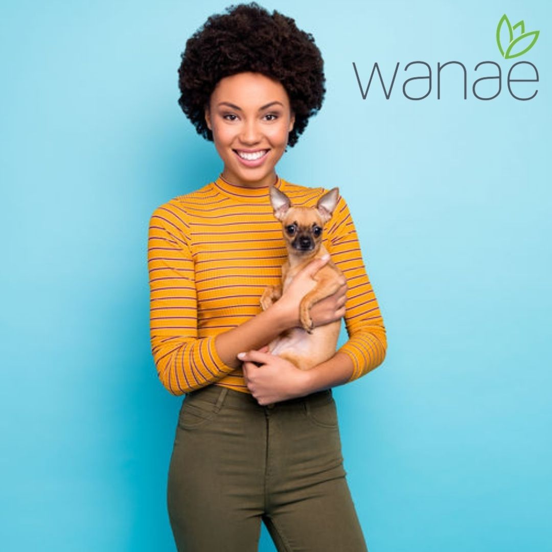wanaeusa's tweet photo. Going to the vet can be anxiety-inducing for even the most well-adjusted animal. CBD, however, may help calm nerves so your little guy is less bark and more wag.   https://t.co/7vBxFyuZLJ ?utm_source=s5_twitter_post&amp;utm_medium=twitter&amp;utm_campaign=s5_88025 https://t.co/gngWNTvlcZ