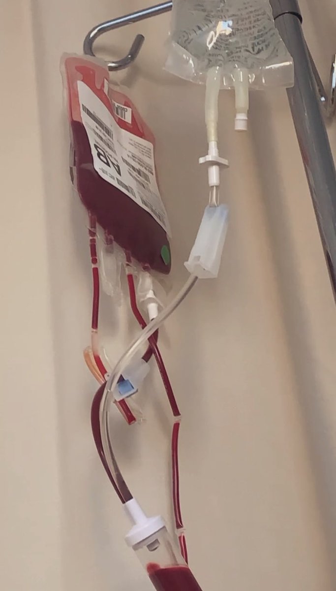 Joc Lubczuk 🌻 tweet media