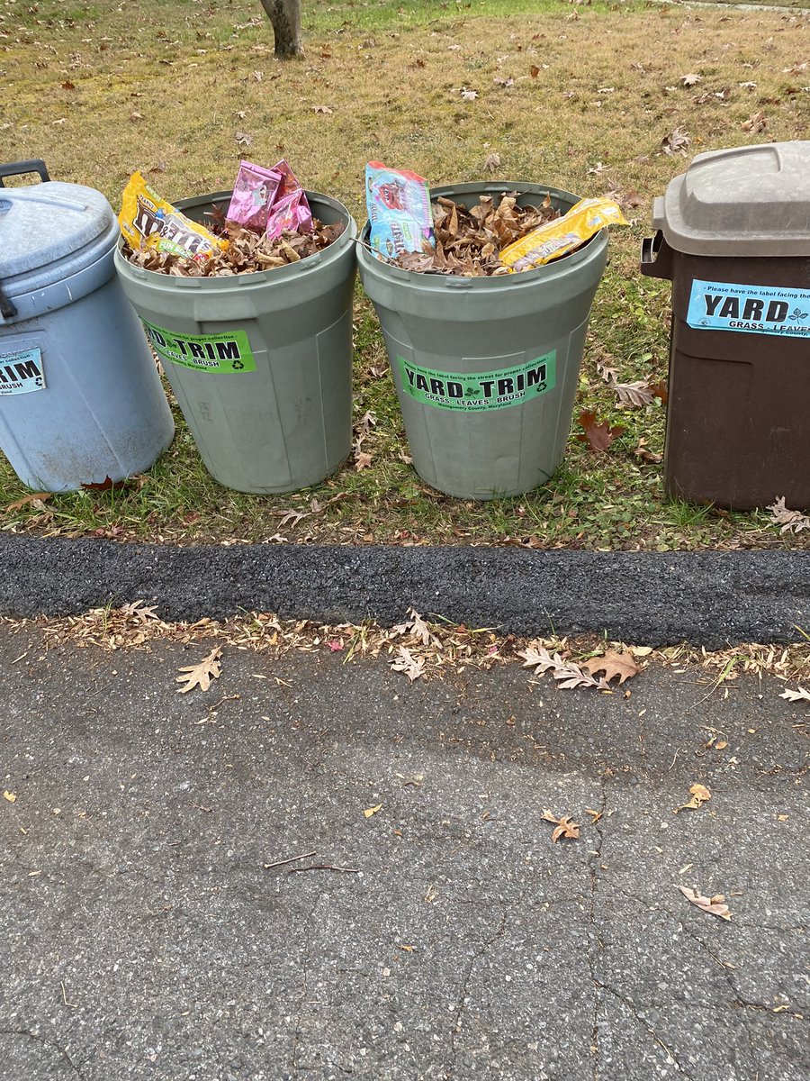 vlamers's tweet photo. I went over to check on my elderly neighbors’ yard debri cans this morning because it looked like someone had dumped trash in them.

Nope. They left candy and chocolate out for the people who pick up our trash, recycling, and yard debri. 💜 https://t.co/U2POo4c727