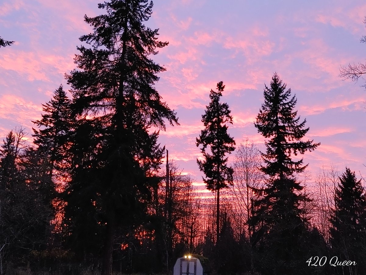 The sunset tonight was incredible😍