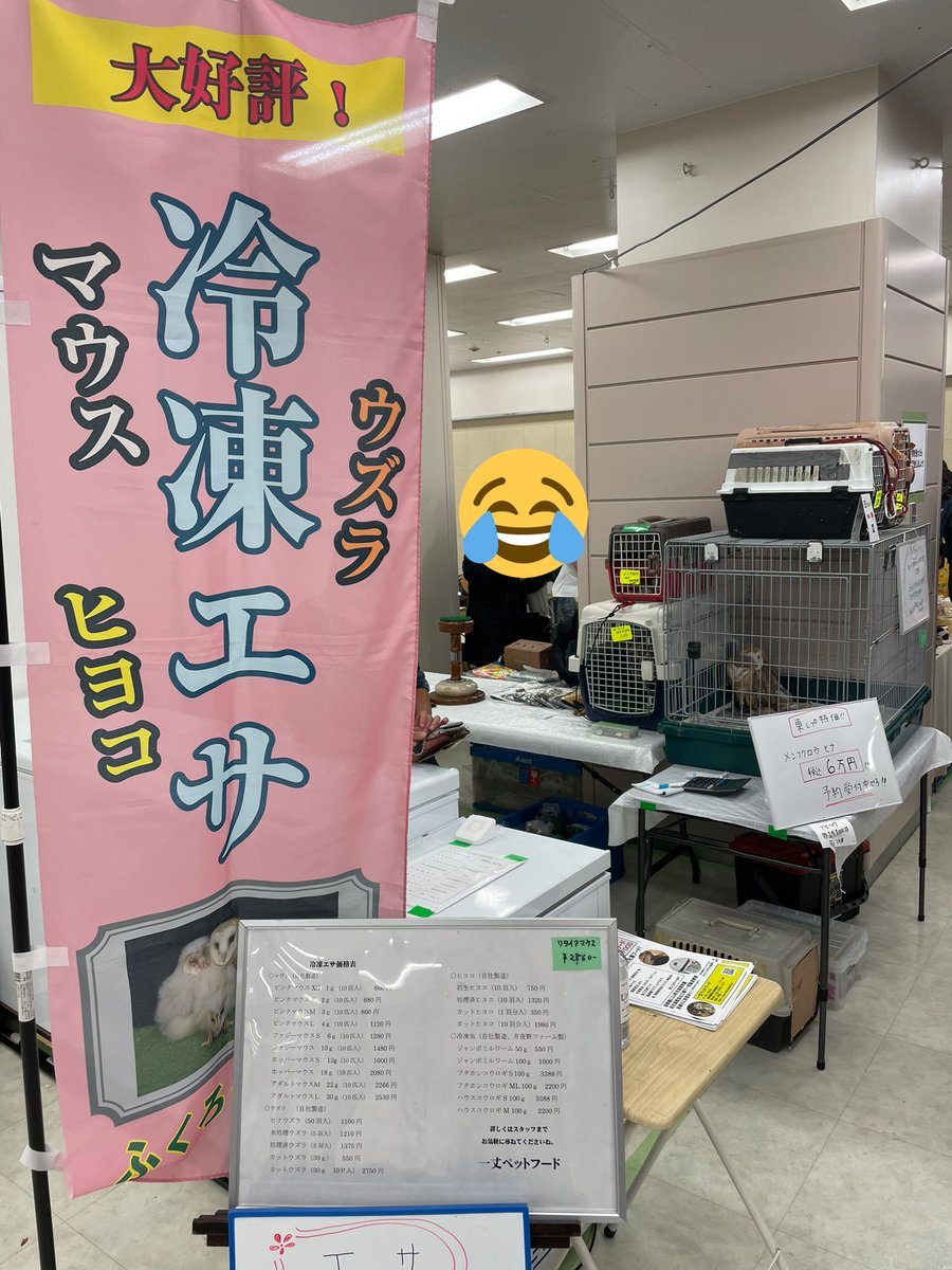 ichijo_petfood's tweet photo. 東レプ、始まりました。
\(//∇//)\ https://t.co/nYitusswJU