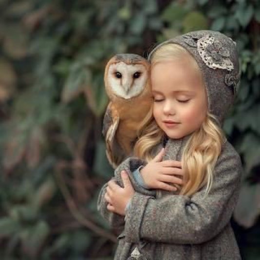 PureMalfoySoul's tweet photo. 🐞Evelyn Narcissa Potter- Malfoy

🗝 Daughter of Draco Malfoy and Harry Potter 

🐞Literate and Semi Descriptive 

🗝 Non - Shipping

🐞 Writers tag: #MidnightOwl 

#RT

{More information under this pin.} https://t.co/LkGGA0ZtQX