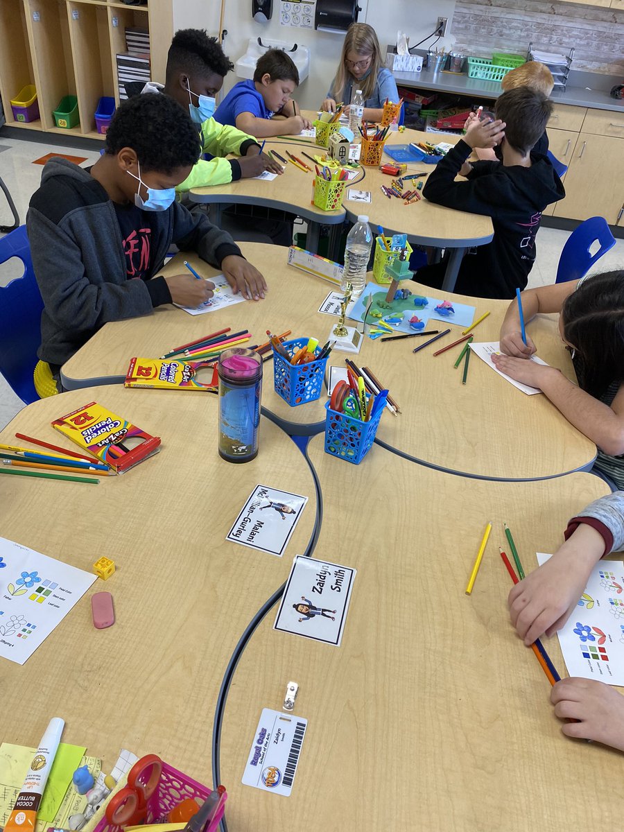 MsBennettROSA's tweet image. Learning how our flower offspring will turn out based on specific parent genes with @KainLauryn class today. #scienceintervention #EngageCreateSOAR @ROSArockets