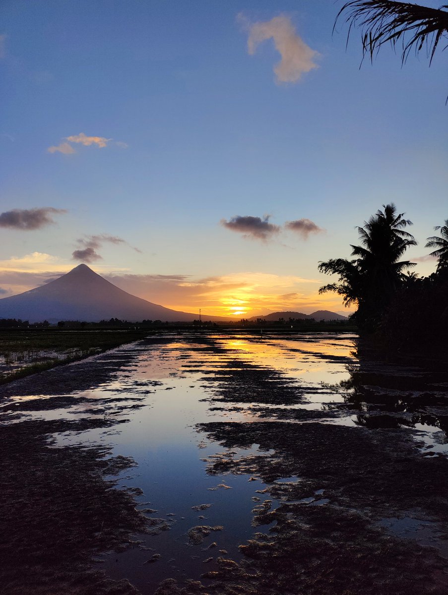 paolocelso's tweet photo. Happy weekend! ☀️

#oneplus9pro5g #shotononeplus #oneplus https://t.co/ZiUta9CXFP