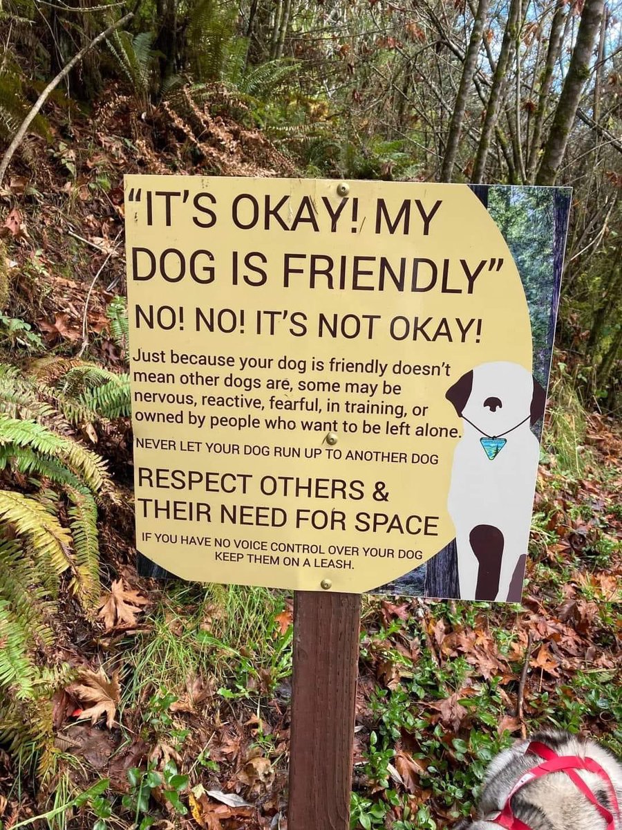 ClassyEquestria's tweet photo. This. Obviously it’s better than an aggressive dog running at you, but you don’t know how another dog will react no matter how friendly yours is. https://t.co/WzTqOY09Vh