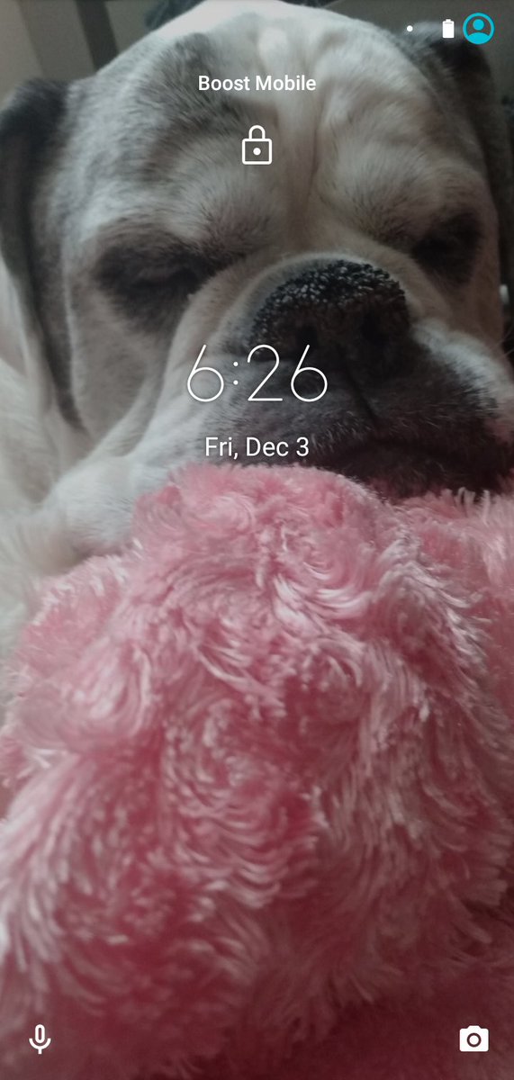DJShadow69_'s tweet photo. This Week cant get any better first I lost my grandfather Sunday night now I had to put my dog down today...this cant get any fucking good I hate 2021 i really do I miss you baby girl..I hope you're rocking the Heavens.... My partner in crime. My snuggle buddy my best friend.. 💔 https://t.co/7eRuiOhNTC