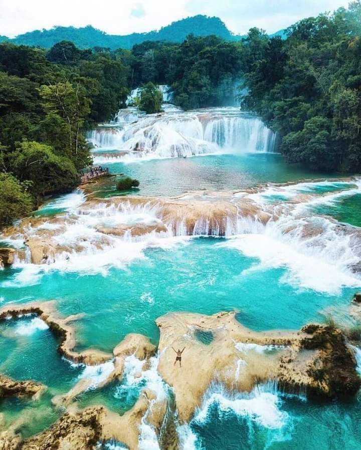WorldNatGeo's tweet photo. Cascada de Agua Azul, Chiapas ☆ México https://t.co/gC3BcOYGz3