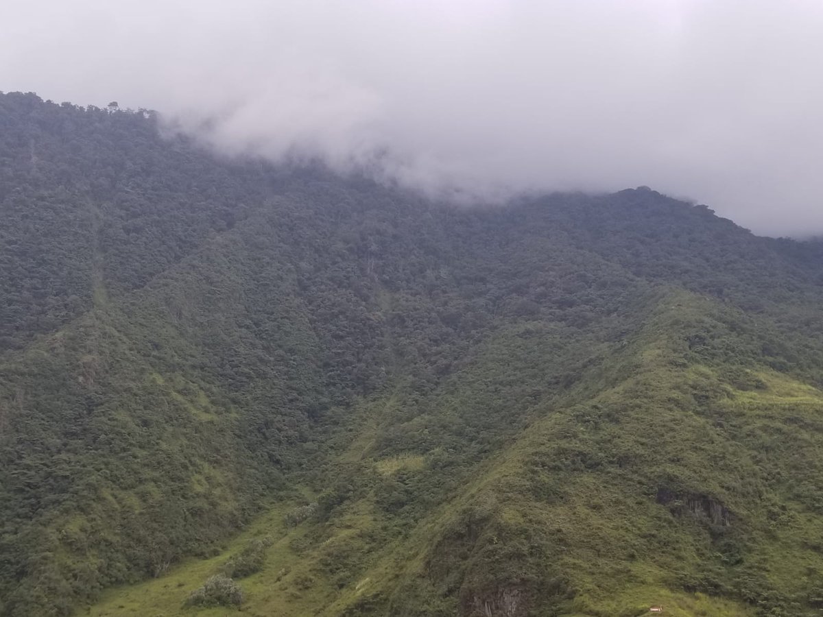 EcuadorMAE's tweet photo. "Es un privilegio entregar esta declaratoria, que promueve el empleo verde, reafirma nuestro compromiso con la conservación y demuestra que la economía verde y resiliente sí es posible en el Ecuador", @biancadager. https://t.co/BsaMRsYVPk