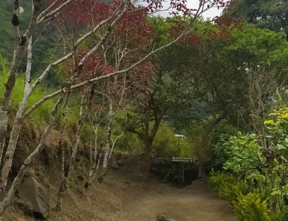 EcuadorMAE's tweet photo. "Es un privilegio entregar esta declaratoria, que promueve el empleo verde, reafirma nuestro compromiso con la conservación y demuestra que la economía verde y resiliente sí es posible en el Ecuador", @biancadager. https://t.co/BsaMRsYVPk