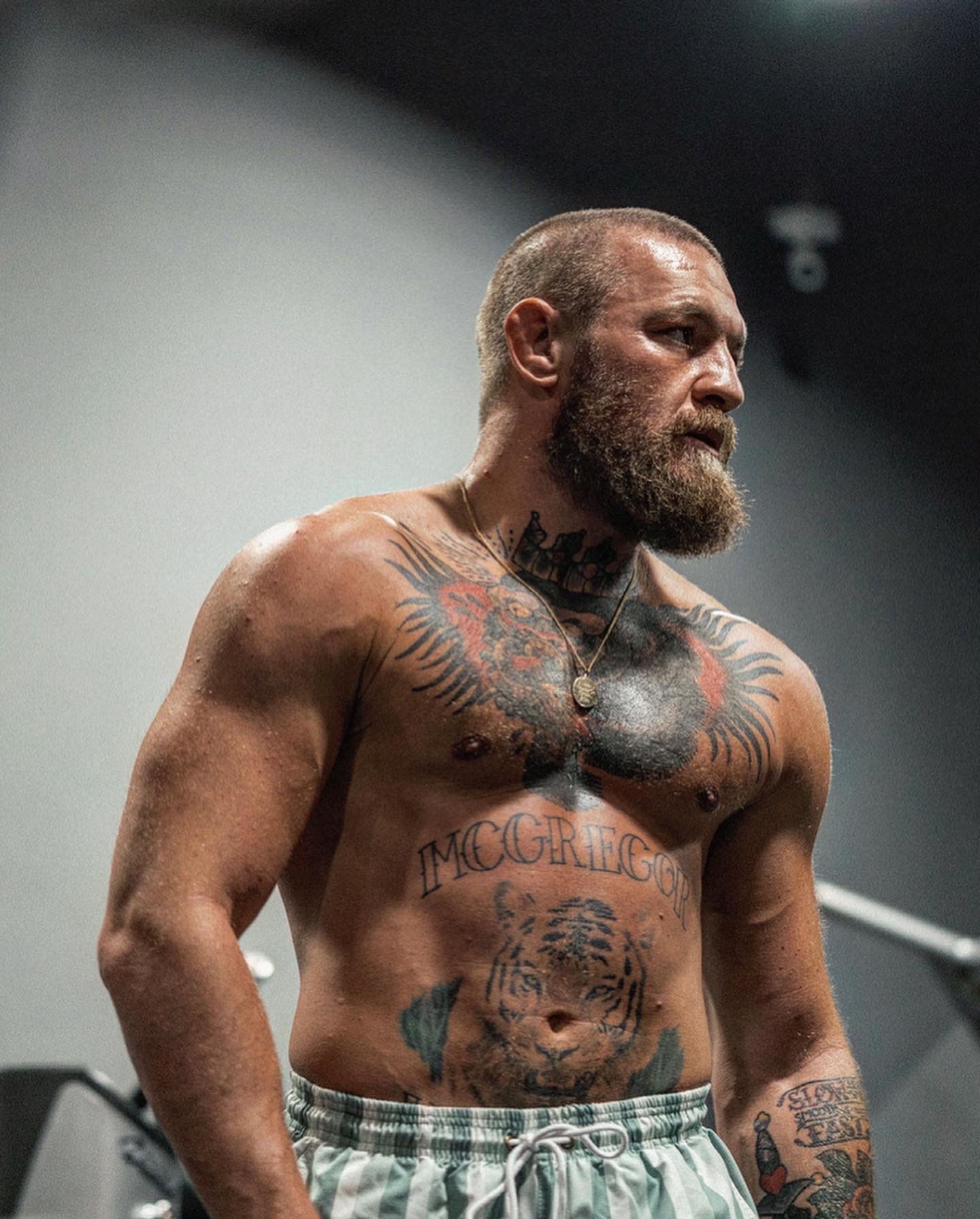 Conor McGregor on Twitter: "190lbs of granite. @McGregorFast  https://t.co/k8HeRZaKRg" / Twitter