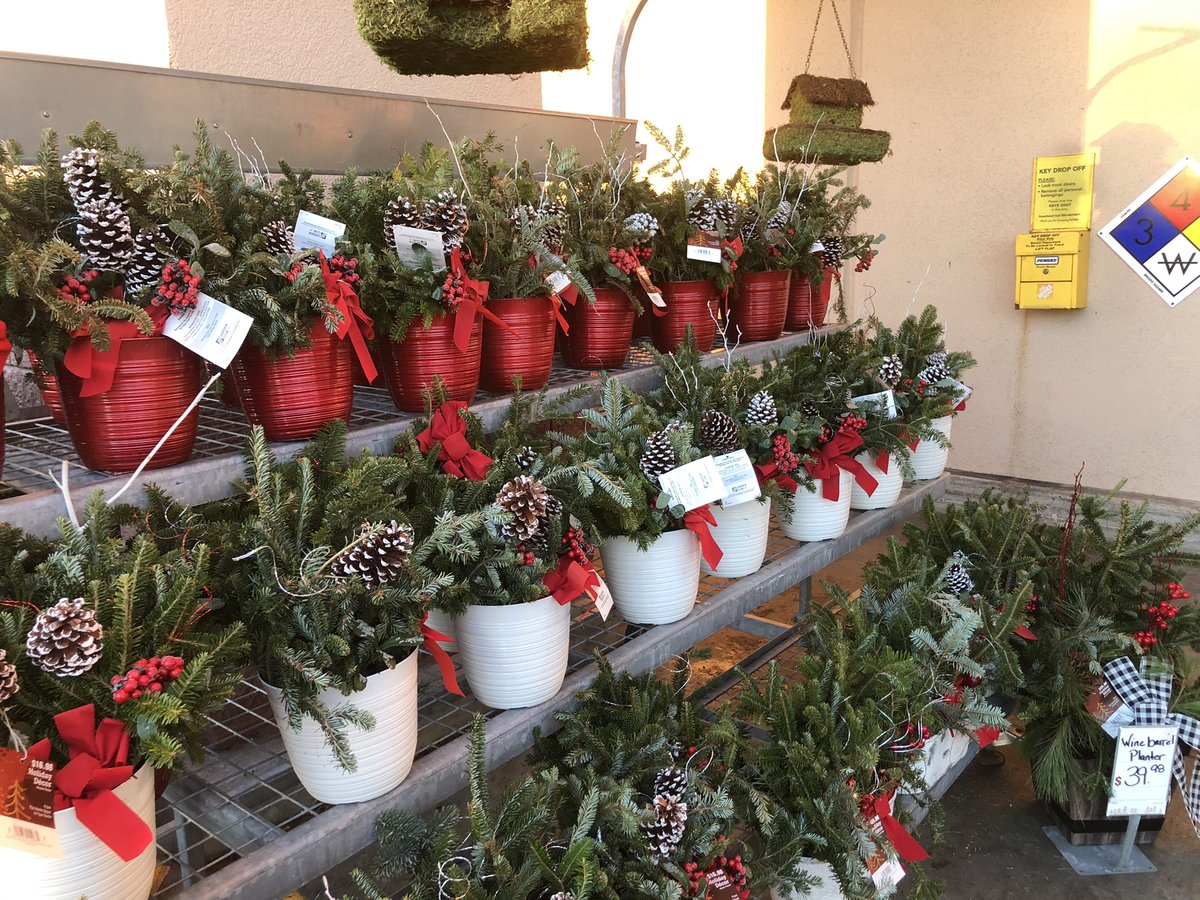 PPSKare's tweet photo. Late night = Early Morning Sales and Our HD NMB 1121 is Screaming Happy Holidays #setto$ell #doersdecorate @PPSinHD @JimSimmonsHD @ChrisHoward1121 @Stephen_E_Camp @pps_s_atlantic @HomeDepot https://t.co/YC9LZ8pSRf