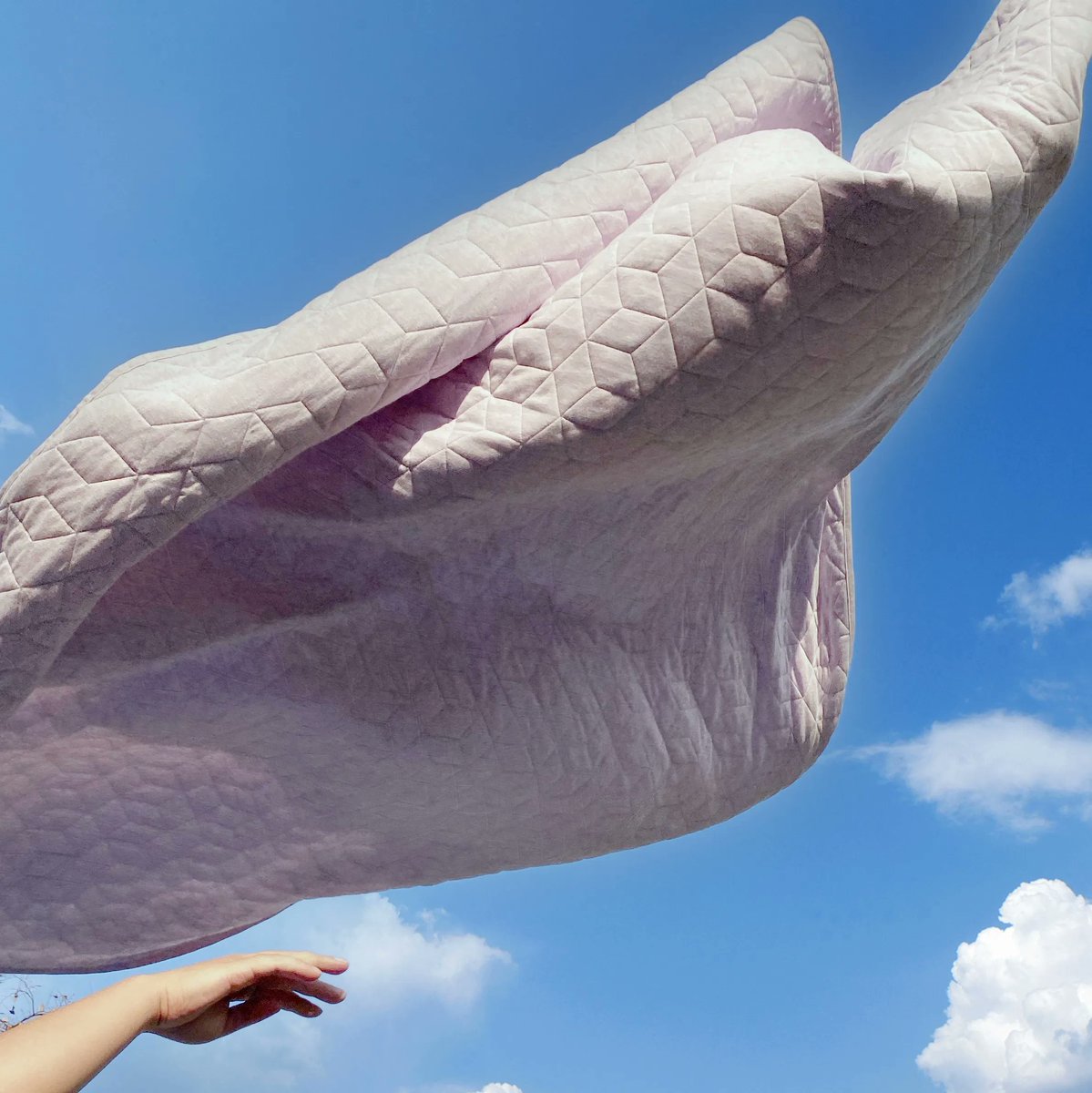 Even a blanket could fly.🦋

#sleepzone