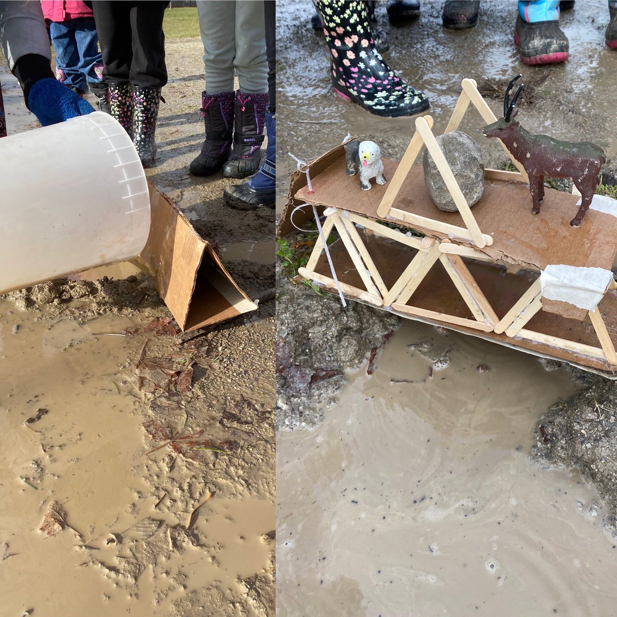 Took a refreshing walk in the forest and looked for examples of erosion in the community. Ss worked hard to build bridges for animals and people, that could withstand natural forces. One S: “I had so much joy walking and talking with my friends!” #outdoorlearning @TDSB_BandBPS