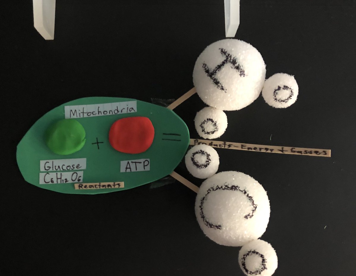 Always fascinating to watch and listen to students as they teach concepts to each other, making new discoveries, correcting misinterpreted information and having fun as a collaborative group.