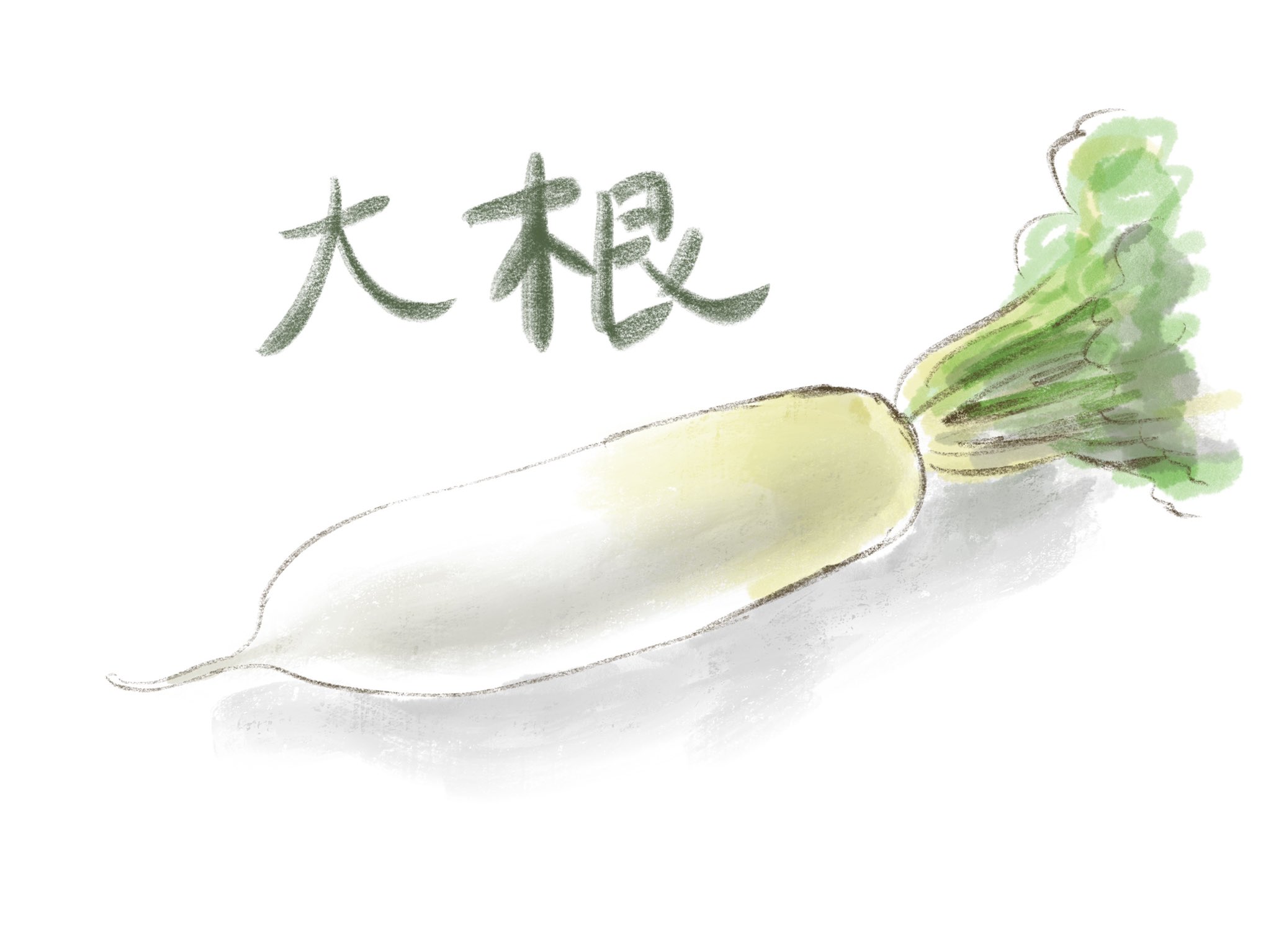 Mayukou デザイナー 冬に美味しいお野菜 大根を描いてみました 色々とお料理に活躍してくれそうです Procreate Illustration イラスト 大根イラスト T Co Absywpgytl Twitter