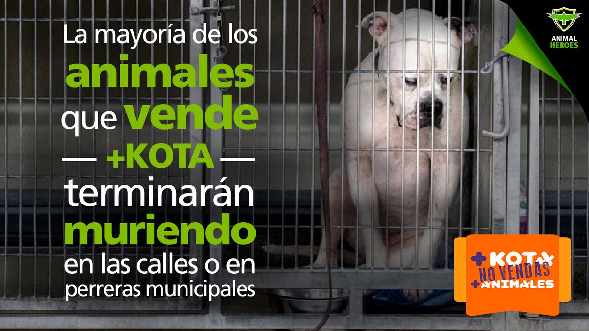 BeAnimalHeroes's tweet photo. La mayoría de los animales que vende @MaskotaMexico terminarán sufriendo y muriendo en las calles o en perreras municipales. ¡Basta de inconsciencia!

Firma y comparte para pedirle a Maskota que deje de vender animales y promueva la adopción de los que están en refugios [...] https://t.co/2wuA19dvcD