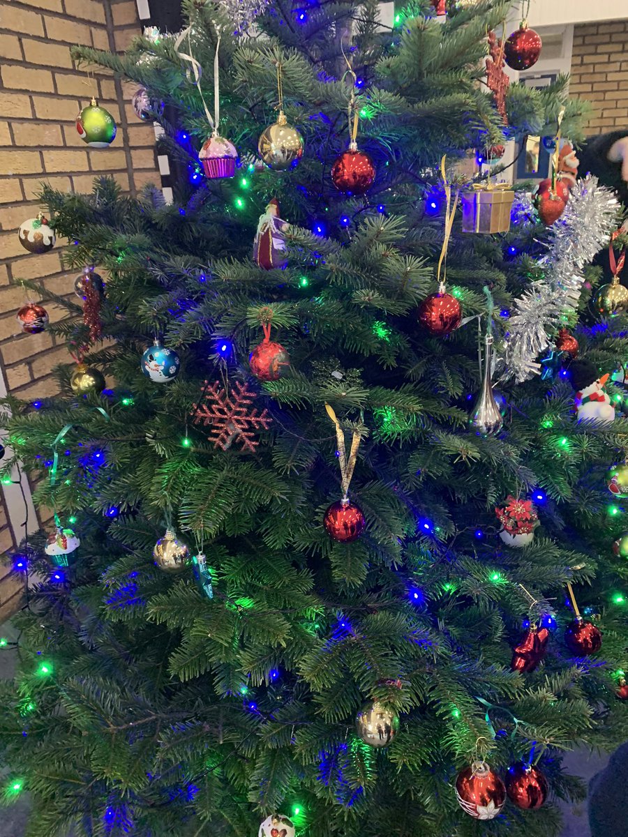 MissWilson888's tweet photo. Primary 1 and 2 had the best time decorating our large Christmas tree in the lunch hall 🎄 It was lovely to see all the smiles as they working together. @MissYoungDPS https://t.co/QntlNBtKwh