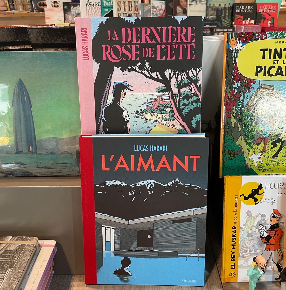 9artLibrairie's tweet photo. «L’aimant » et « La dernière rose de l’été » deux BD de Lucas Harari aux @ESarbacane. Deux livres aux intrigues et couleurs hypnotisantes… https://t.co/VE7bgSgYre