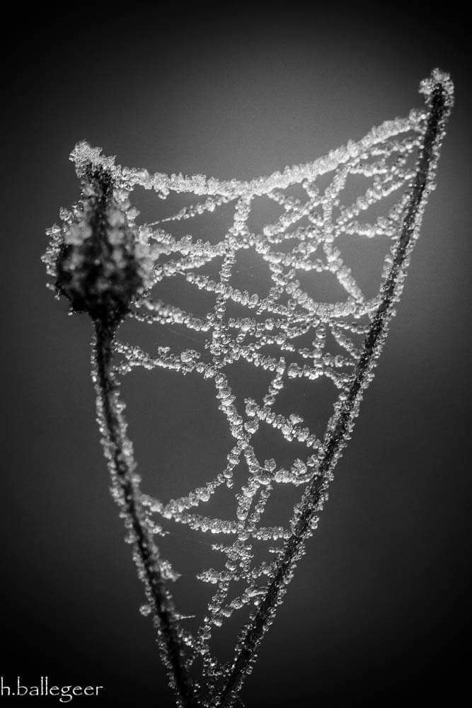 Good Morning Universe  
Good Morning Ladies  
<a href="/witchofgric/">MaLena</a> <a href="/Debra_McGill/">🇵🇸 🇮🇱 ☮️ Debra ⛄️❄️</a> <a href="/danielalippke/">Daniela Lippke</a>
<a href="/LallyFawn/">Lally</a> <a href="/chef96/">Brent S. Reschke</a> <a href="/SwietjesO/">Swietjes Outlander</a> <a href="/10MinDQ/">Cookie Roof 🍪</a>
<a href="/doro_nico/">Doro Nico</a> <a href="/apapworth58/">AndyPandy 💙</a> <a href="/LuckeyLass/">Cyn Luckey</a>
<a href="/brittafahl70/">Britta Fahl</a> <a href="/SanneBorsti/">Susanne Armborst</a> <a href="/rosannefrank25/">Rosanne Frank</a>
<a href="/chridhe_mo/">🌎Andrea🌍</a> <a href="/DutchSassenach/">Ellen</a> <a href="/KathleenCormi16/">Kathleen Cormier 🟧</a>