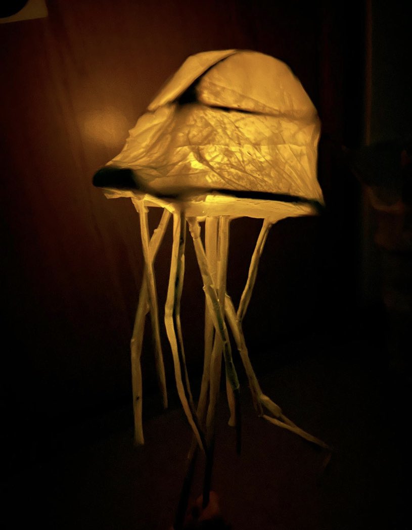 Lanterns made by <a href="/MersthamPark/">Merstham Park School</a> Art club students. Created with withie sticks, making tape and tissue paper in small groups. The students should be very proud of their efforts! They look fantastic!! 🙌🏻#shiningstars #collaboration #success