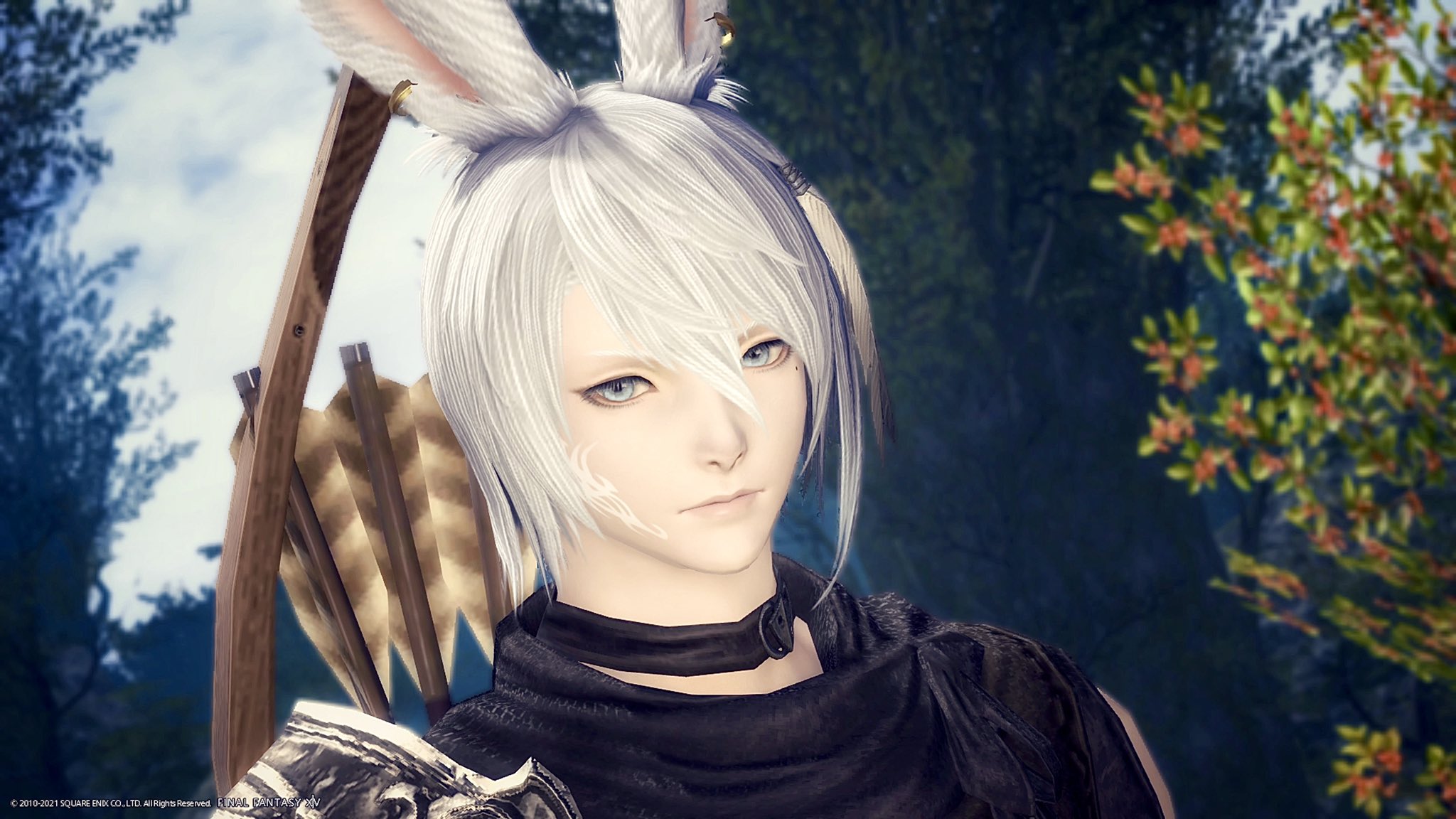 Sword Tiamat ヴィエラ男のキャラクリを試してみた 簡単にイケメンが作れた Ff14 T Co 8r2qmgi6dk Twitter