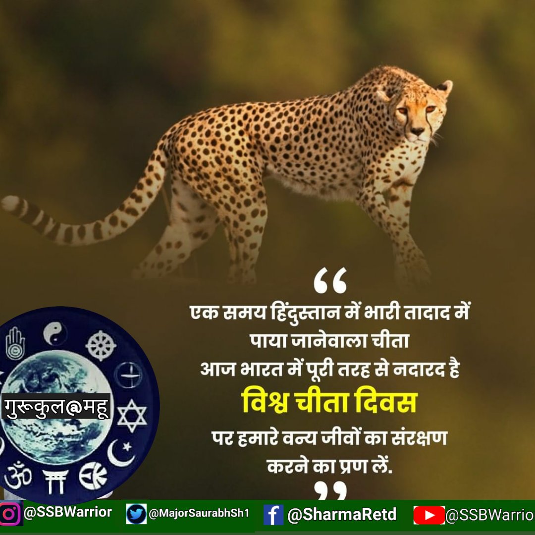 MajorSaurabhSh1's tweet photo. एक समय हिंदुस्तान में भारी तादाद में पाया जाने वाला चीता आज भारत में पूरी तरह से नदारद है।
'विश्व चीता दिवस' पर हमारे वन्य जीवों का संरक्षण करे।
#InternationalCheetahDay #GirlsNDA #GirlsArmy #SSBGIRLS #NDAForGirls #GIRLSOTA #WomenInNDA #WomenInArmy #GirlsSSBTips #SSBTipsGirls https://t.co/oz5W5l078H