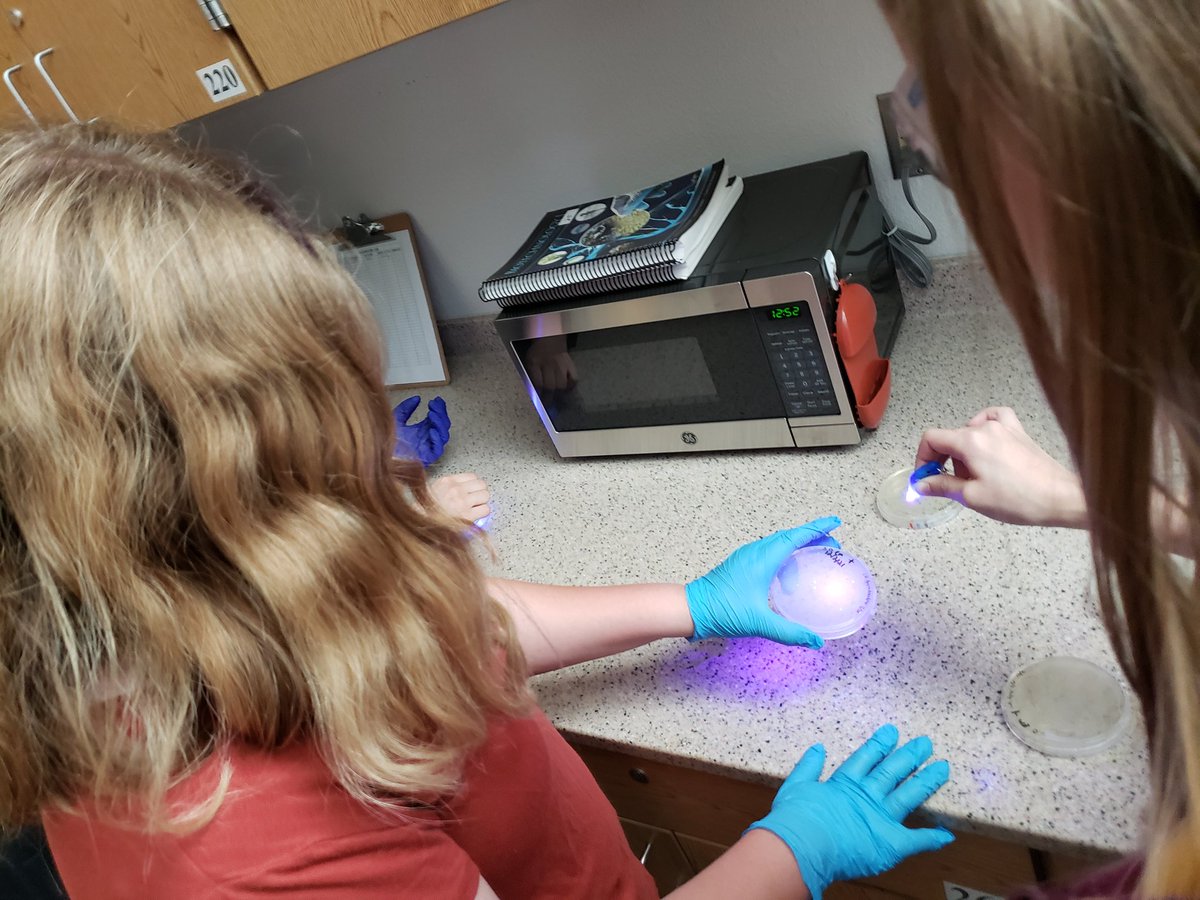 The <a href="/BioRadEducation/">Bio-Rad Explorer</a> pGlo kit never disappoints 💚🧫🦠