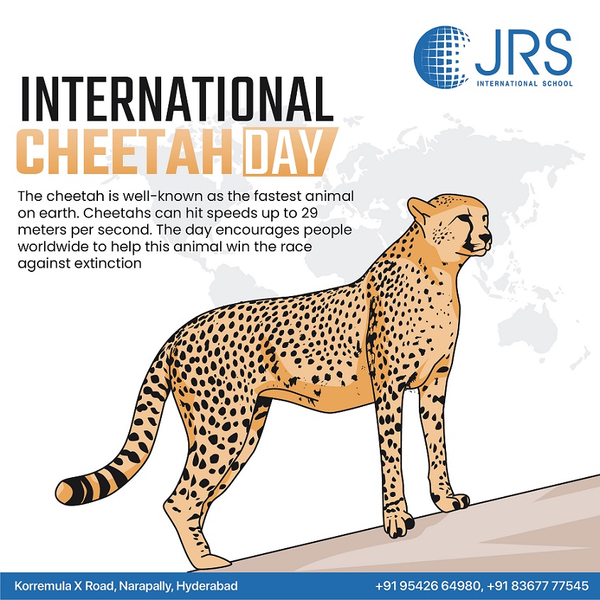 JRS International School Twitter પર: JRS International School Twitter પર: