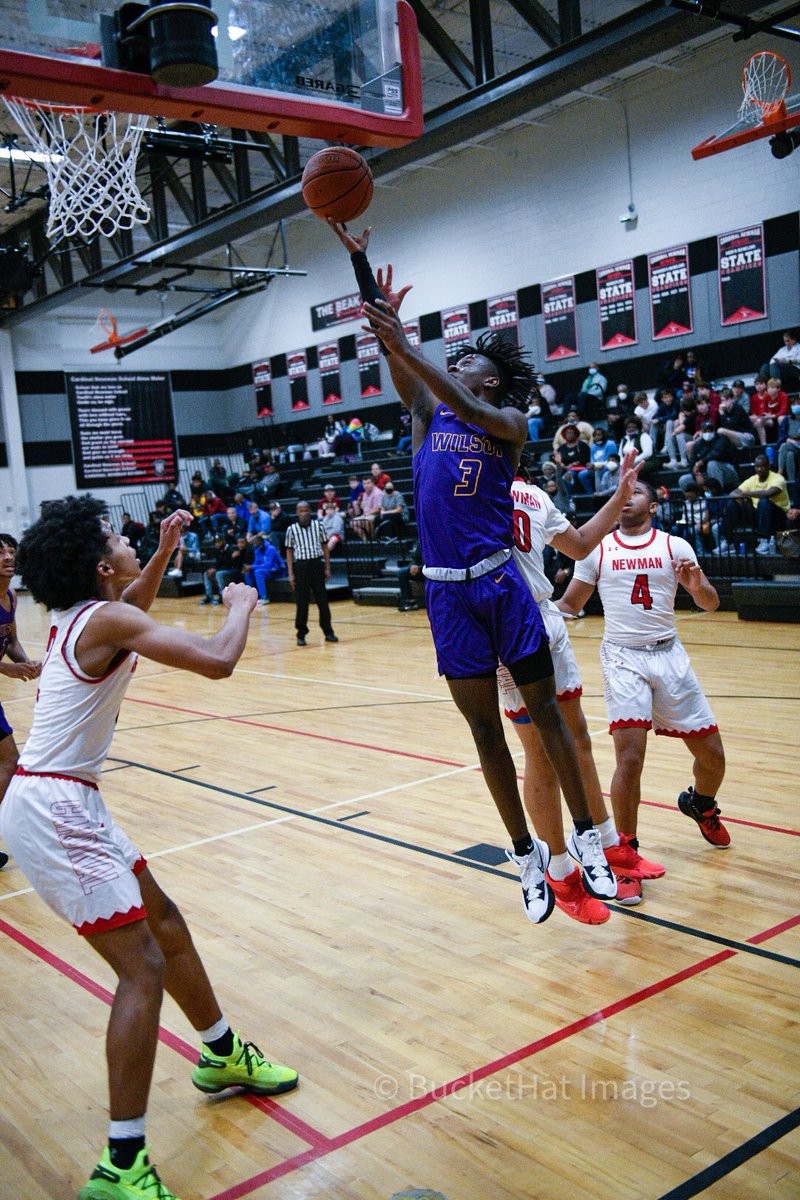 BucketHatImages tweet media