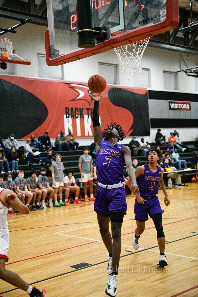 BucketHatImages tweet media