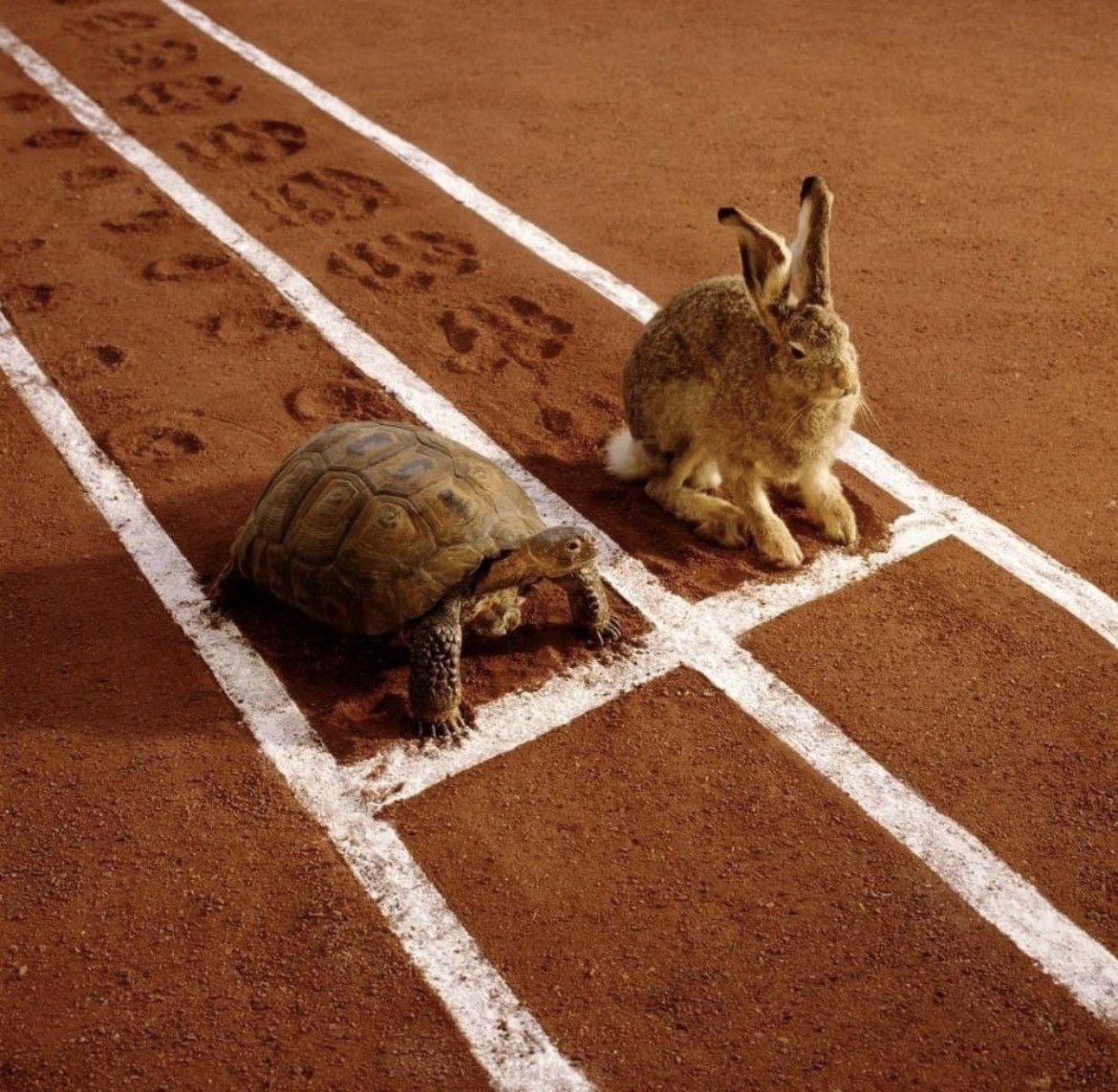 Dr. Sami Almudarra tweet media