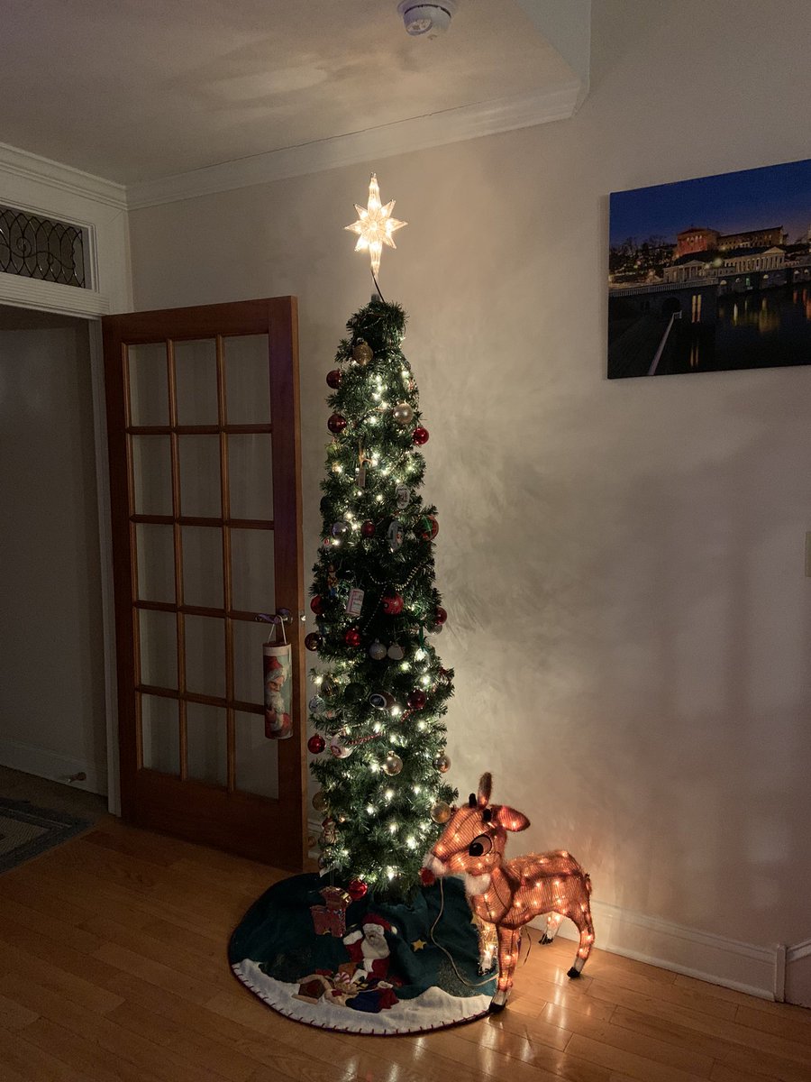 timjawnders's tweet photo. let me get a #treecheck https://t.co/Z7ng8qhl9n