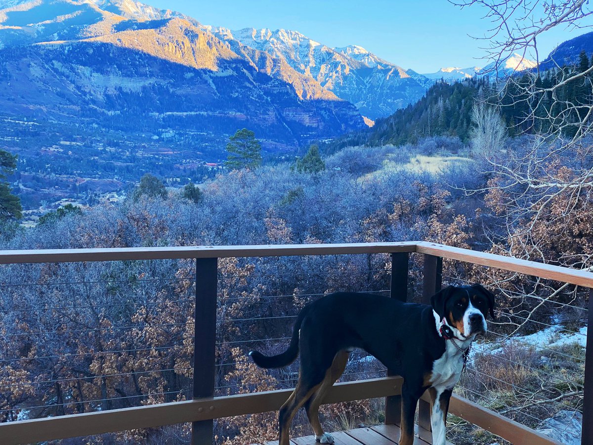 Donna S Smith tweet media