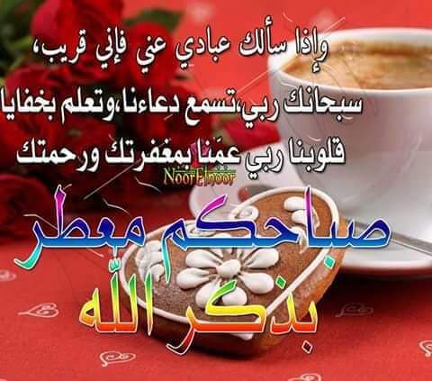 إلى قلوب تبادلني المودة والإخاء
إلى قلوب تسقيني أنهارا" من الوفاء
في الله أحببتكم .. وبالخير
  ذكرتكم.. وبالغيب دعوت لكم 
        اللهم سق إلى أحبتي 
 من رحماتك ما يغنيهم ... وأنزل عليهم من بركاتك ما يكفيهم ... وادفع عنهم كل ما يؤذيهم وهب لهم من العمل الصالح 
    🌹صباح النور🌹