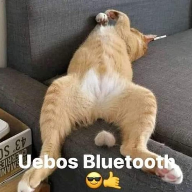 jhonlloid88's tweet photo. WTFFFFF uebos bluetooth 😱 https://t.co/UIMVwbGrNZ